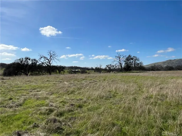 a view of a golf course with a lake