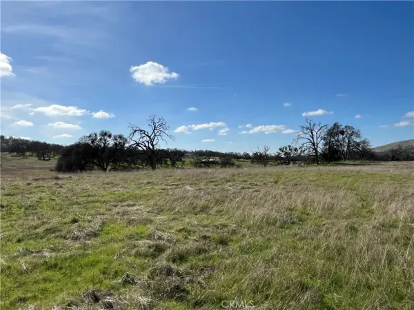 a view of a golf course with a lake