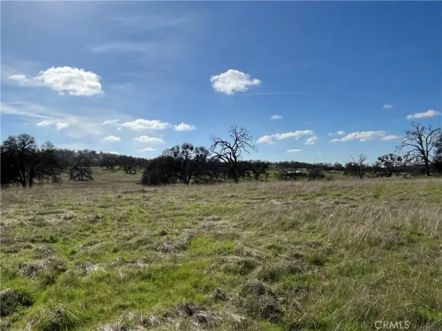 a view of a lake in middle of forest