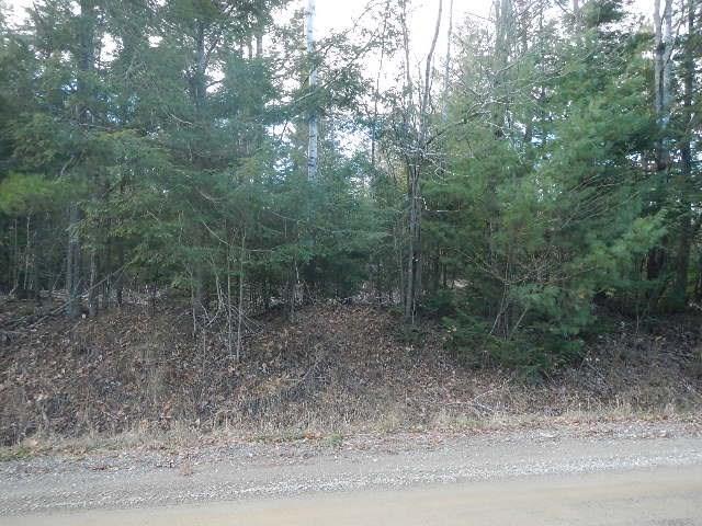 Lot 1 116th Route Howland, ME 04448 - Photo 10 of 10 Photo