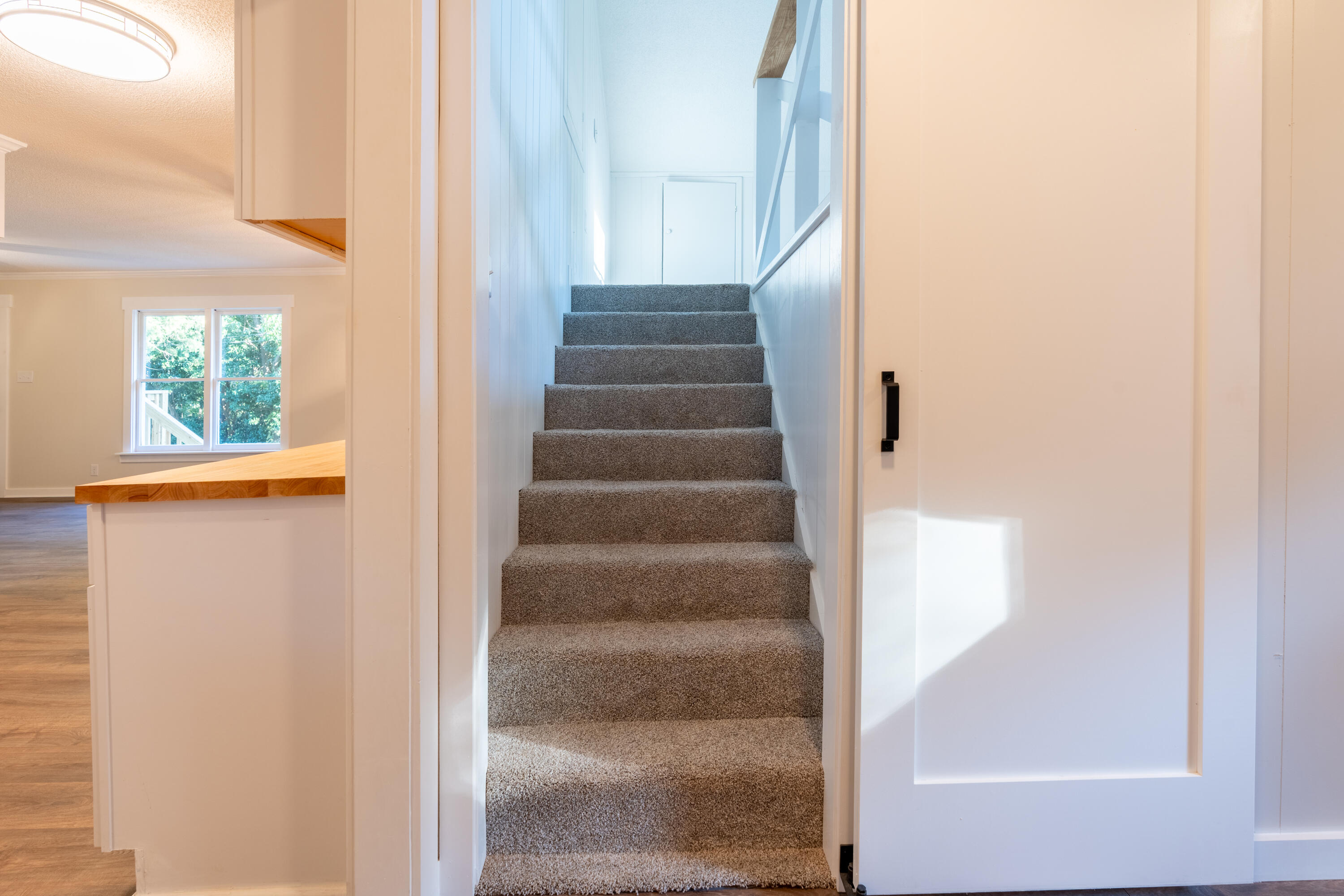 1106 Ruth Landolina Lane Hanahan, SC 29410 - Photo 15 of 44 1106 Ruth Landolina - FROG-6