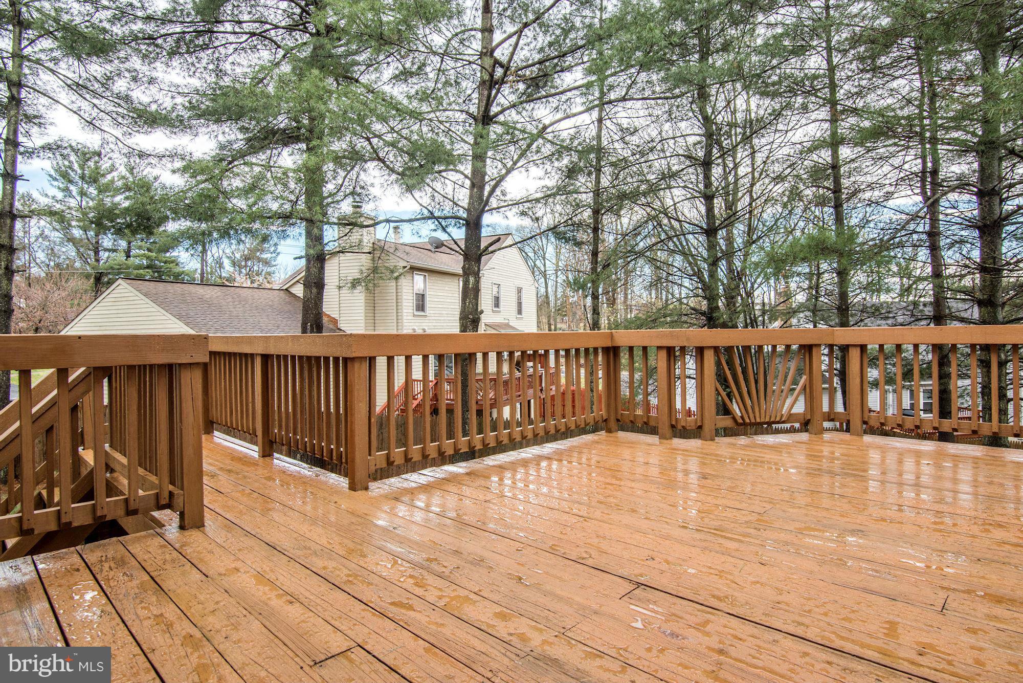 14504 Sandy Ridge Road Silver Spring, MD 20905 - Photo 14 of 30 Exterior (Rear)