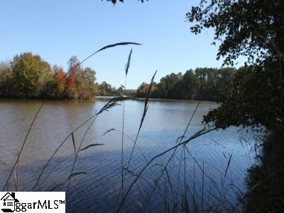 825 Johnson Road, Unit TRACT E Laurens, SC 29360 - Photo 14 of 14