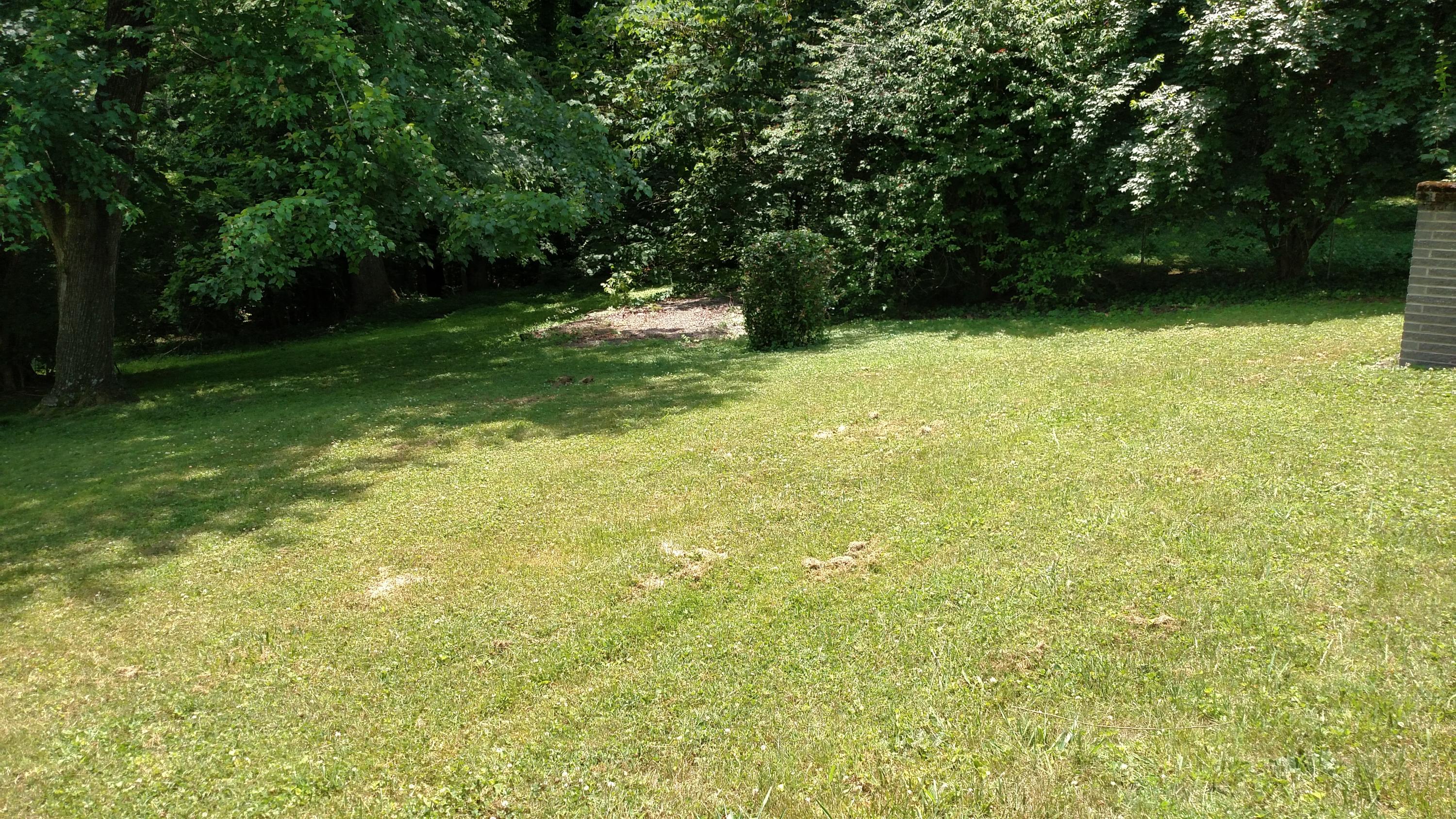 121 Wayside Road Oak Ridge, TN 37830 - Photo 12 of 12 IMG_20160603_135854704