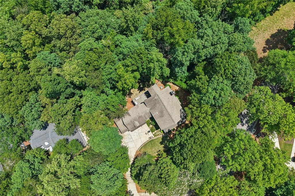 3910 Two Rivers Drive Cumming, GA 30041 - Photo 98 of 110 an aerial view of residential house with outdoor space and trees all around