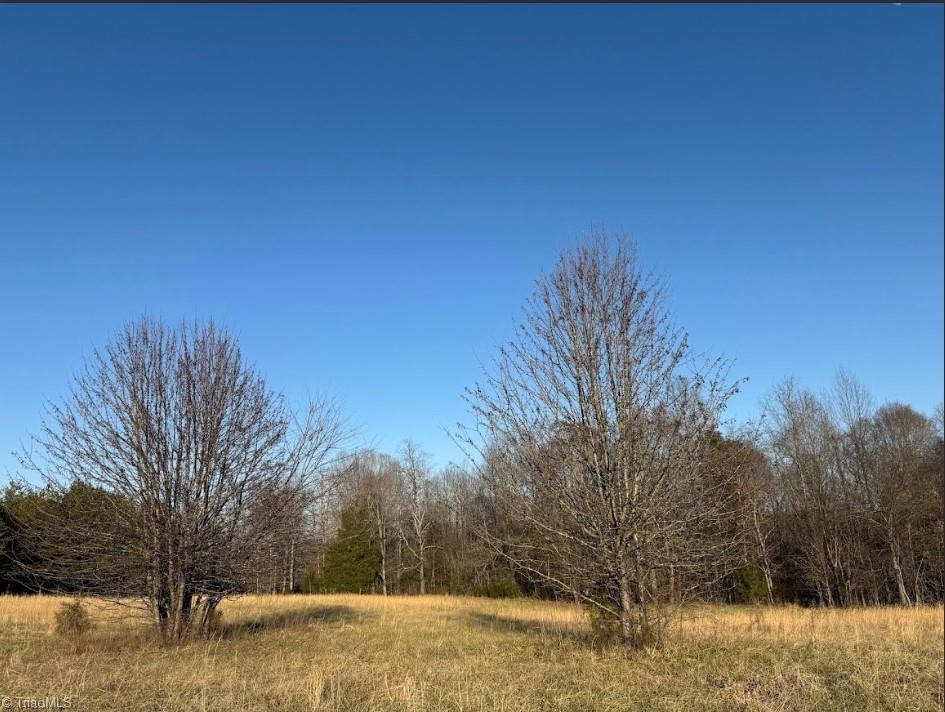 1 Garner Road Yadkinville, NC 27055 - Photo 3 of 6 Gallery Image 3