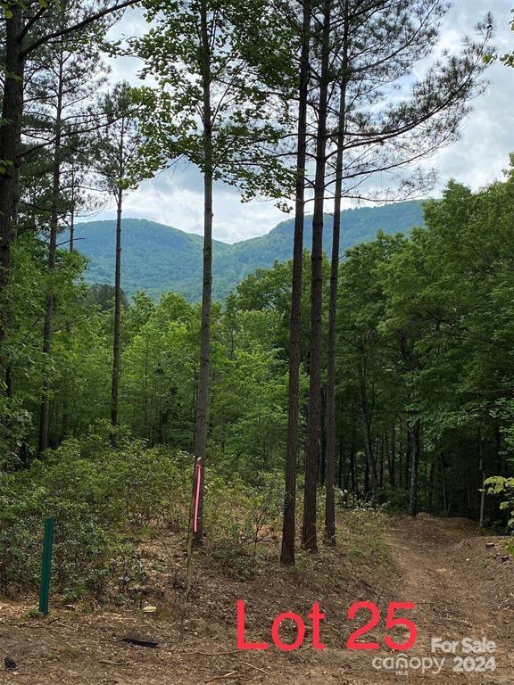25 Monteith Pl Mill Spring Mill Spring, NC 28756 - Photo 2 of 11