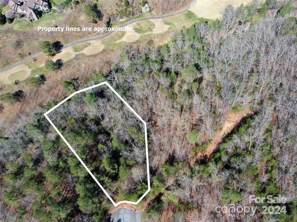 25 Monteith Pl Mill Spring Mill Spring, NC 28756 - Photo 4 of 11