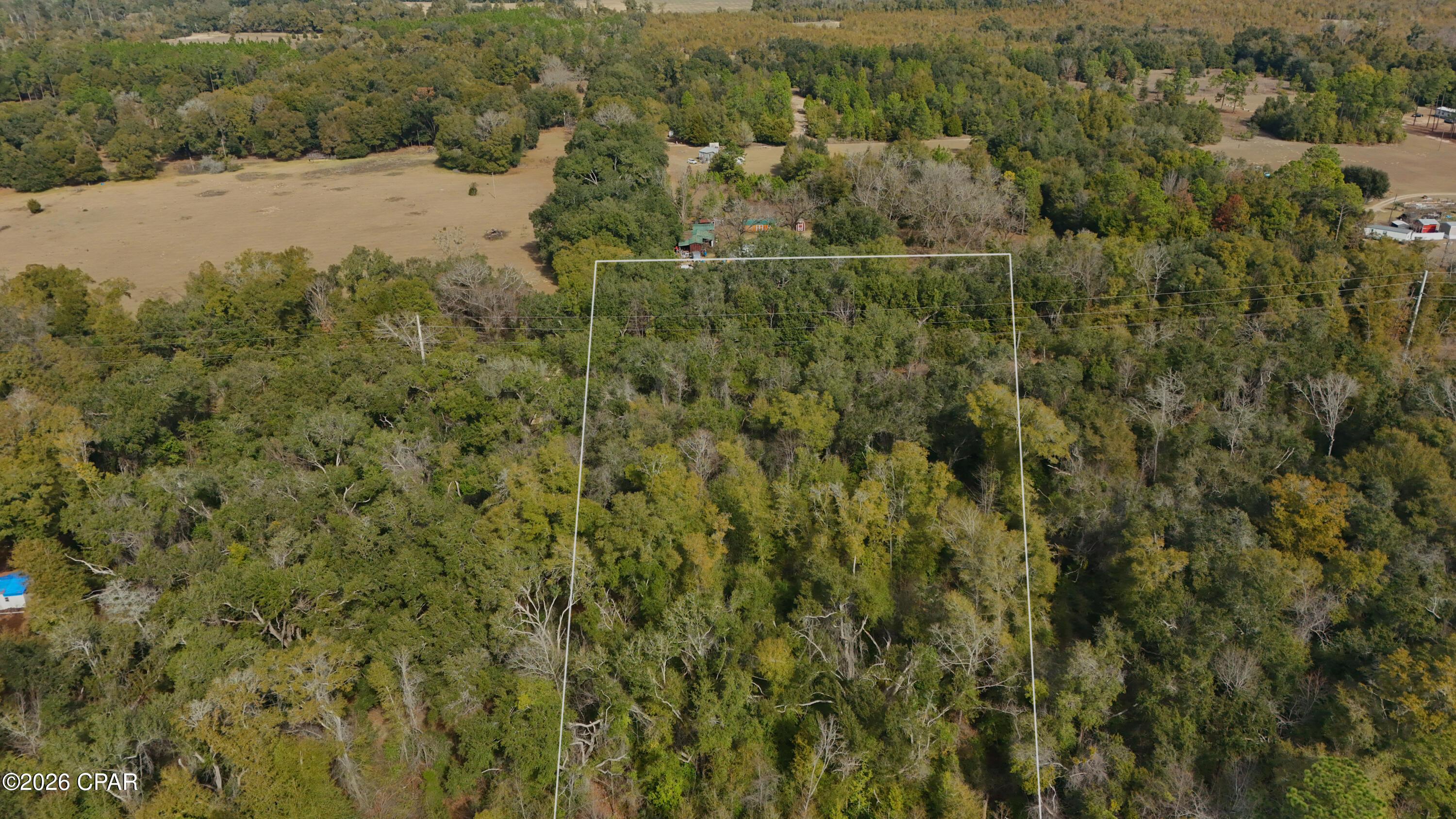 Lot 1 Oscar Road Greenwood, FL 32443 - Photo 10 of 17