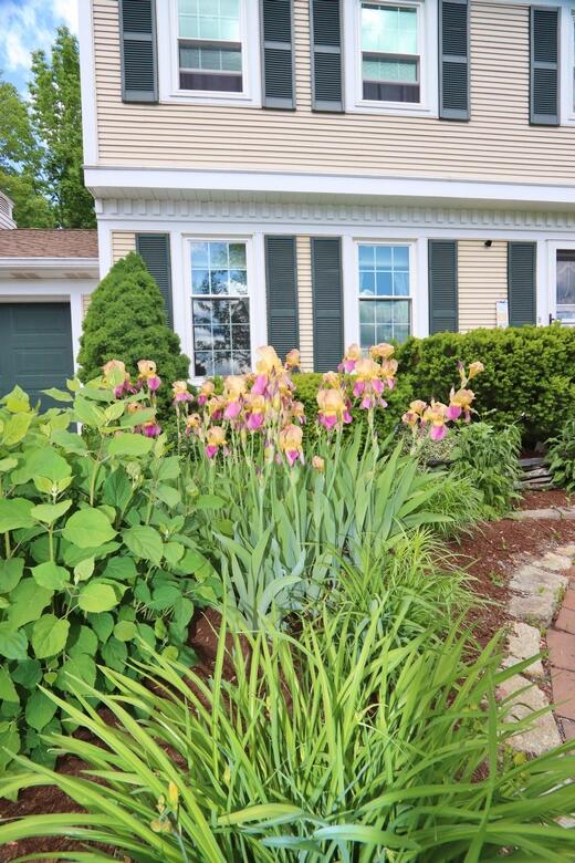 18 Balsam Road Bangor, ME 04401 - Photo 12 of 58 IMG_2249 (Copy)