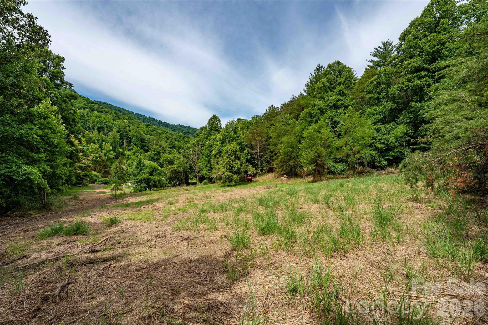 9999 Morgan Branch Road Weaverville, NC 28787 - Photo 2 of 24