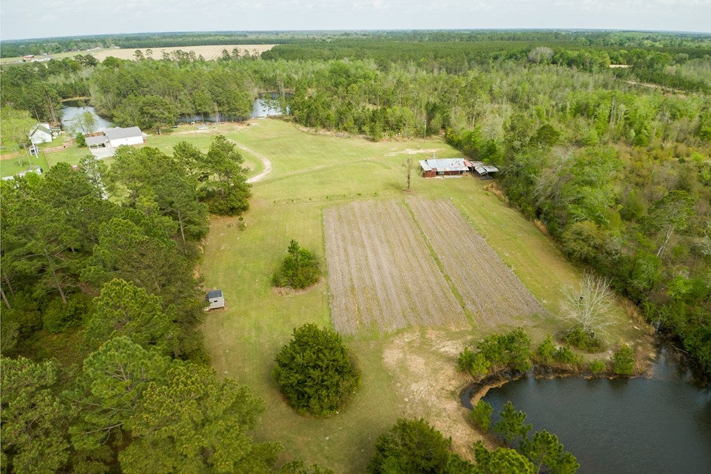 1356 Coxstill Road Adel, GA 31620 - Photo 49 of 71 Gallery Image 49