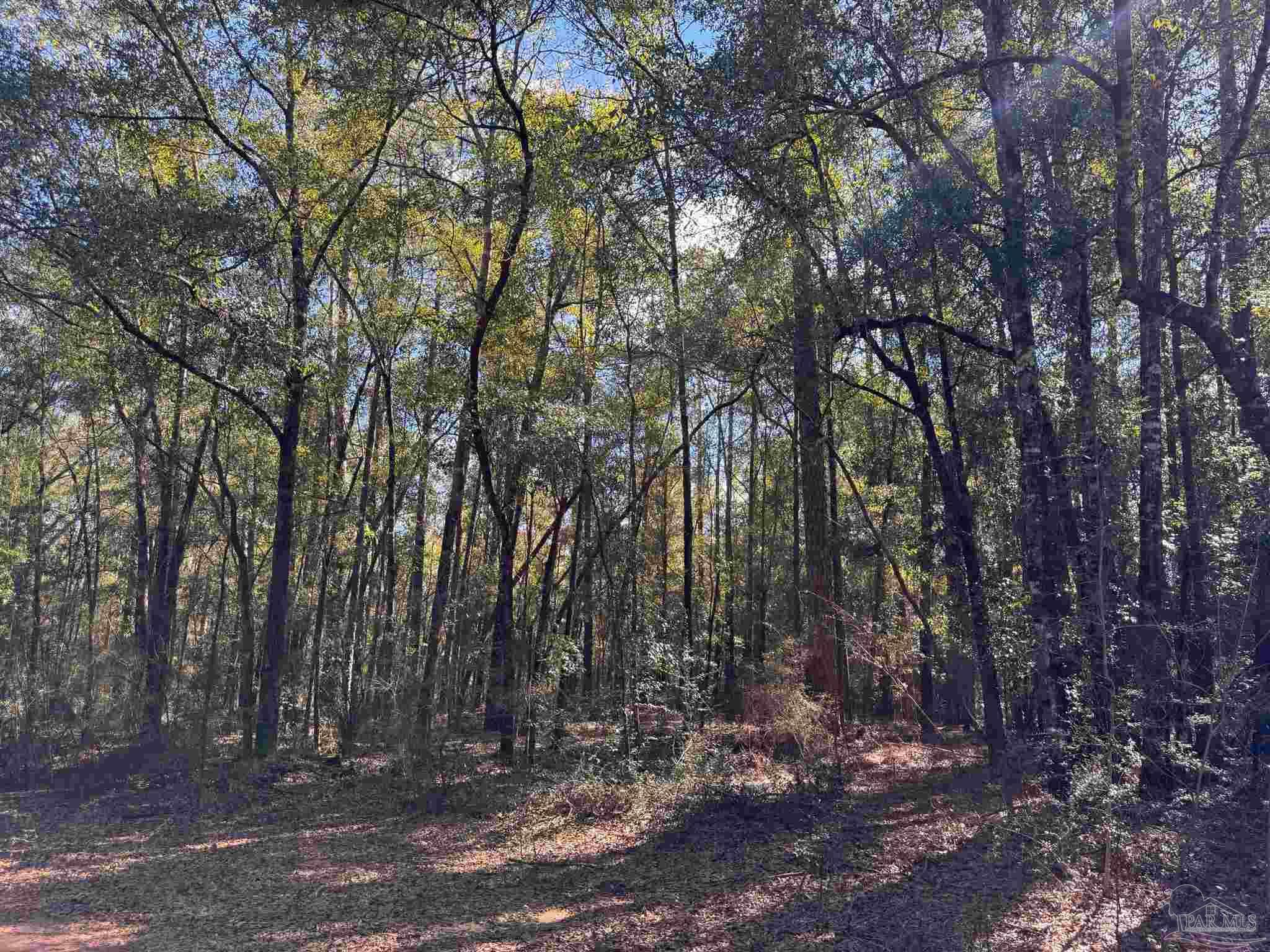 0 Reuben's Way Milton, FL 32570 - Photo 2 of 3