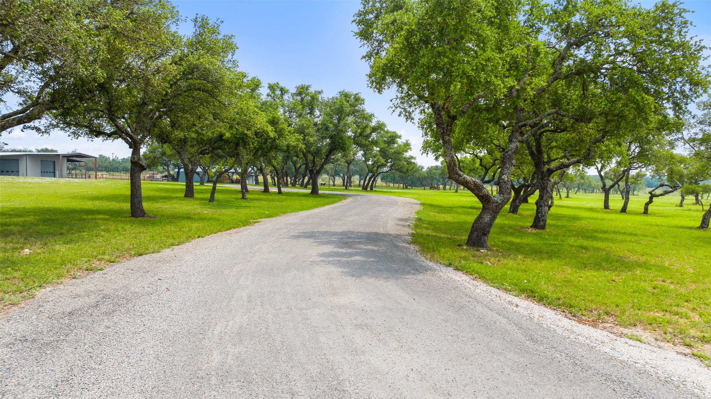 3431 Klett Ranch Road Johnson City, TX 78636 - Photo 13 of 33 View of road
