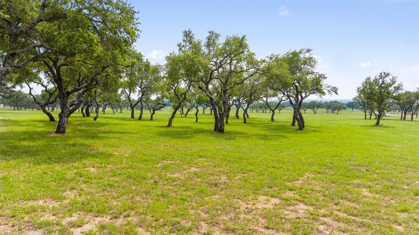 3431 Klett Ranch Road Johnson City, TX 78636 - Photo 14 of 33 a big yard with trees in the background