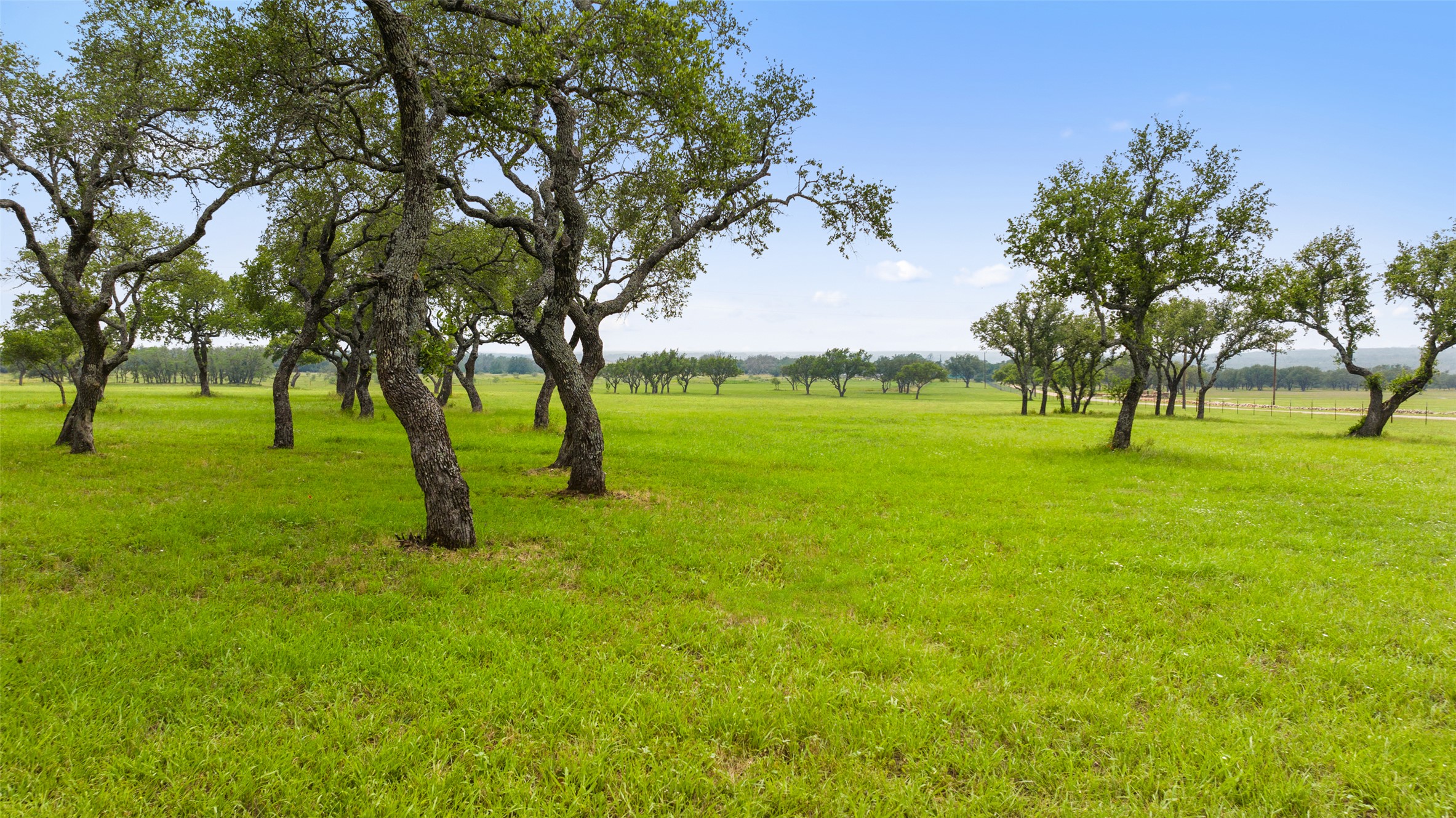 3431 Klett Ranch Road Johnson City, TX 78636 - Photo 15 of 33 View of green lawn featuring a view of rural / pastoral area