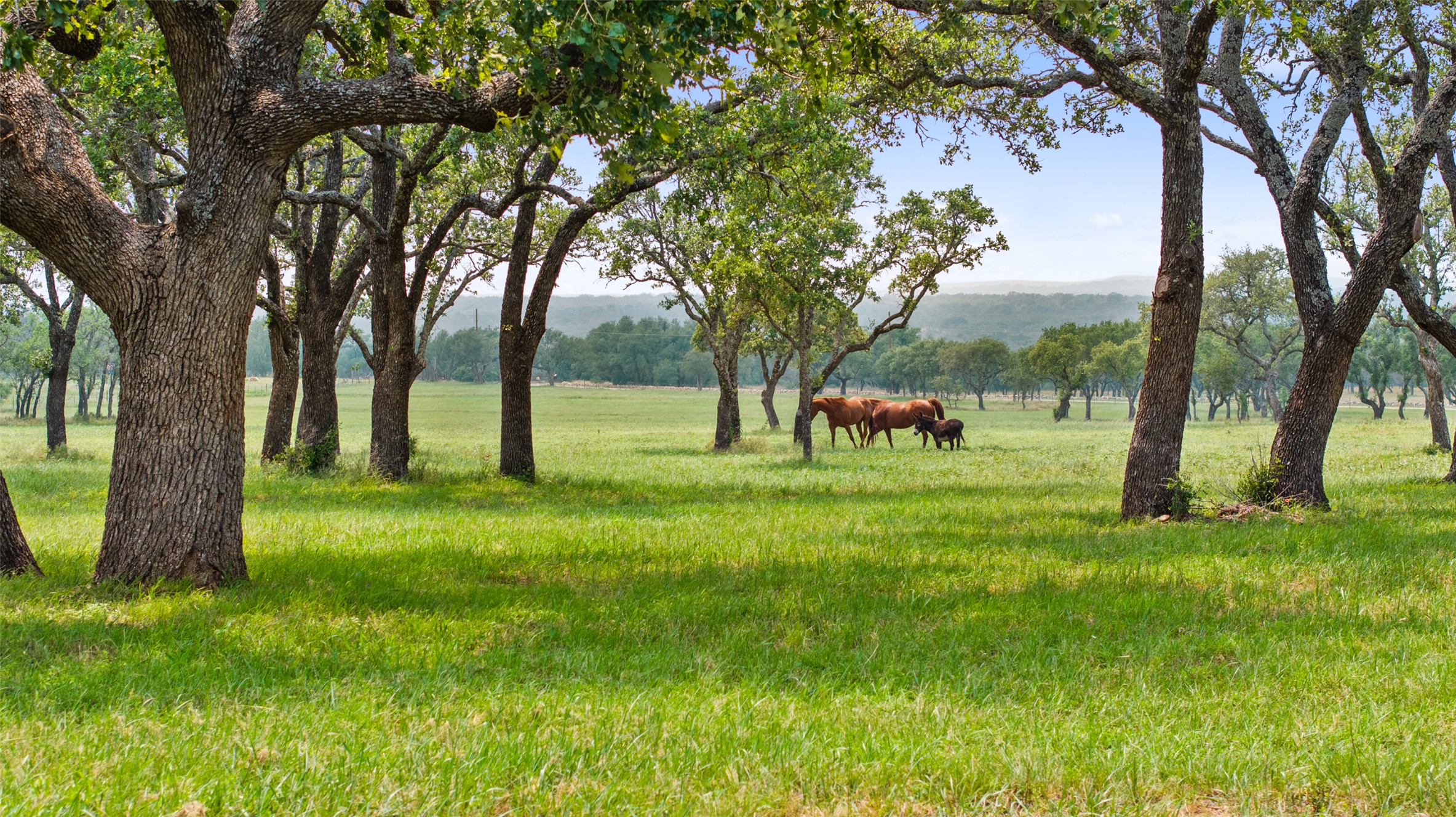 3431 Klett Ranch Road Johnson City, TX 78636 - Photo 2 of 33