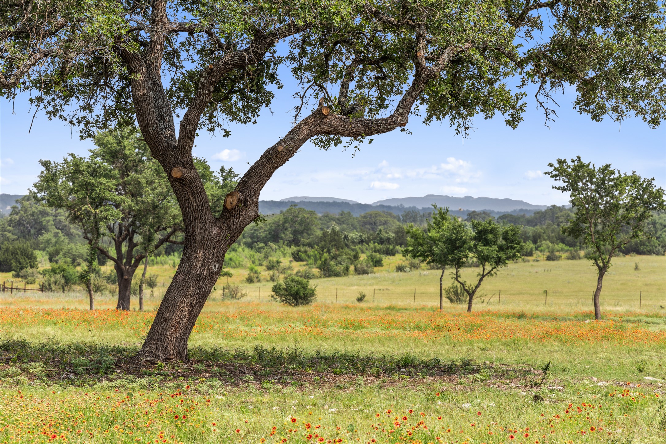 3431 Klett Ranch Road Johnson City, TX 78636 - Photo 26 of 33 Mountain view with rural landscape