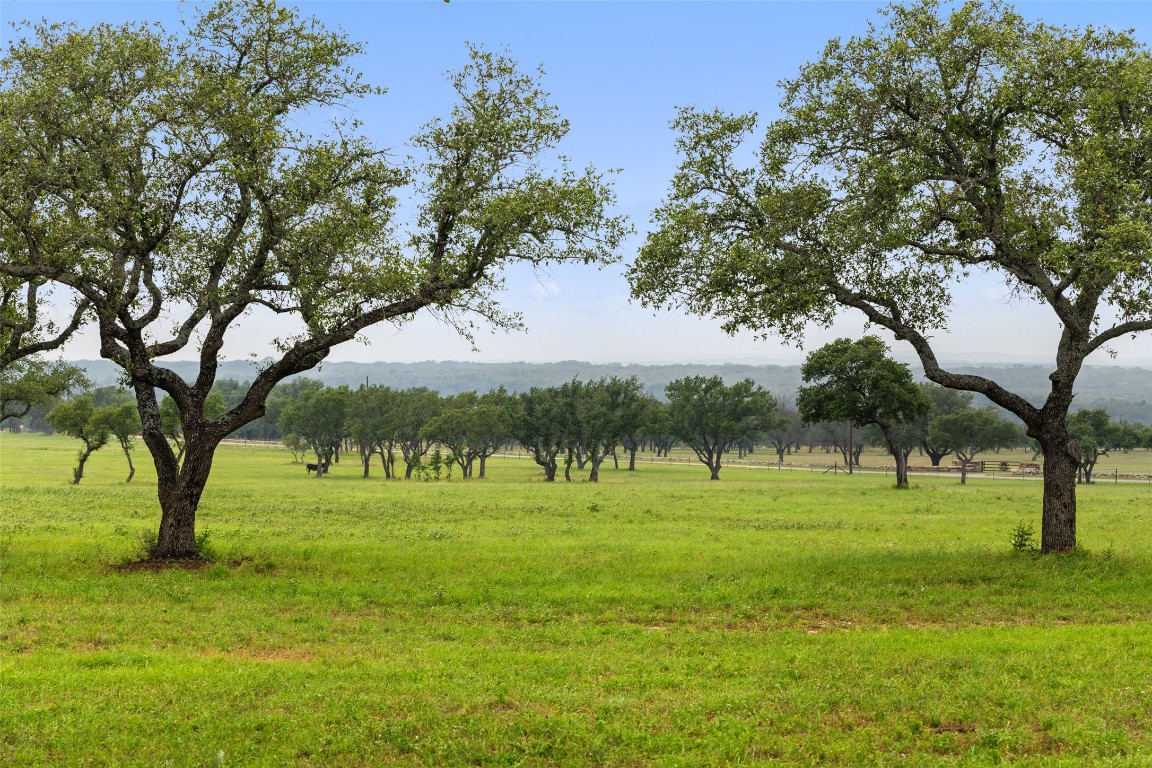 3431 Klett Ranch Road Johnson City, TX 78636 - Photo 29 of 33 a view of grassy field with trees