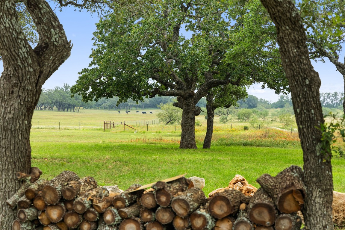3431 Klett Ranch Road Johnson City, TX 78636 - Photo 31 of 33 a view of a golf course with a tree