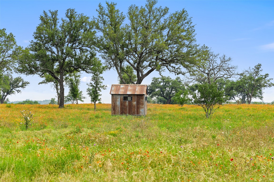 3431 Klett Ranch Road Johnson City, TX 78636 - Photo 32 of 33 a view of a yard with an tree