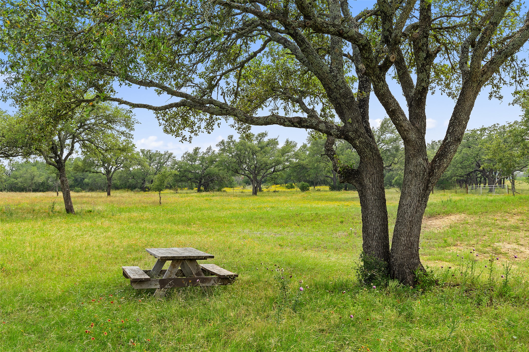 3431 Klett Ranch Road Johnson City, TX 78636 - Photo 33 of 33 View of green lawn