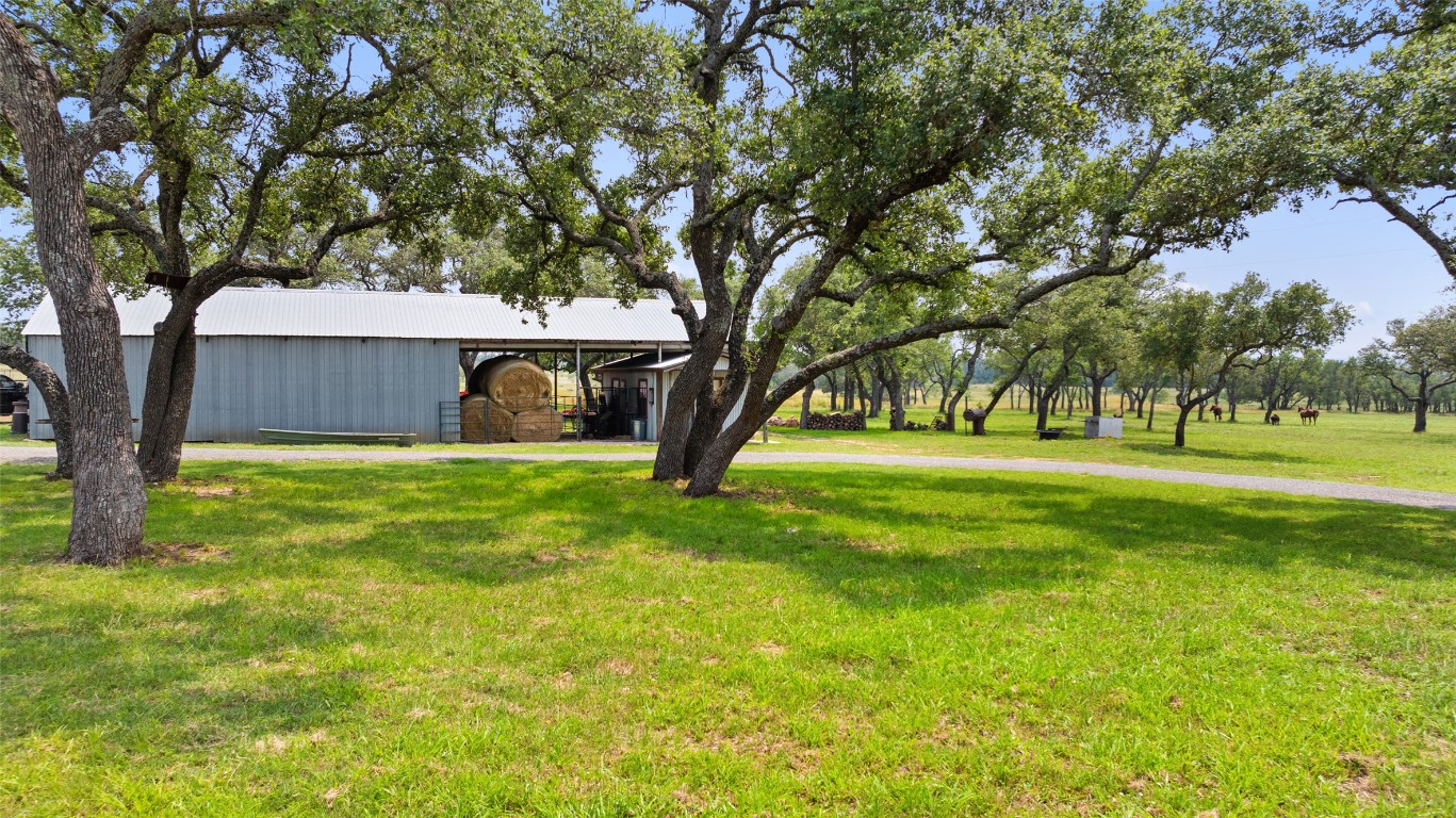 3431 Klett Ranch Road Johnson City, TX 78636 - Photo 7 of 33 a view of garden with trees