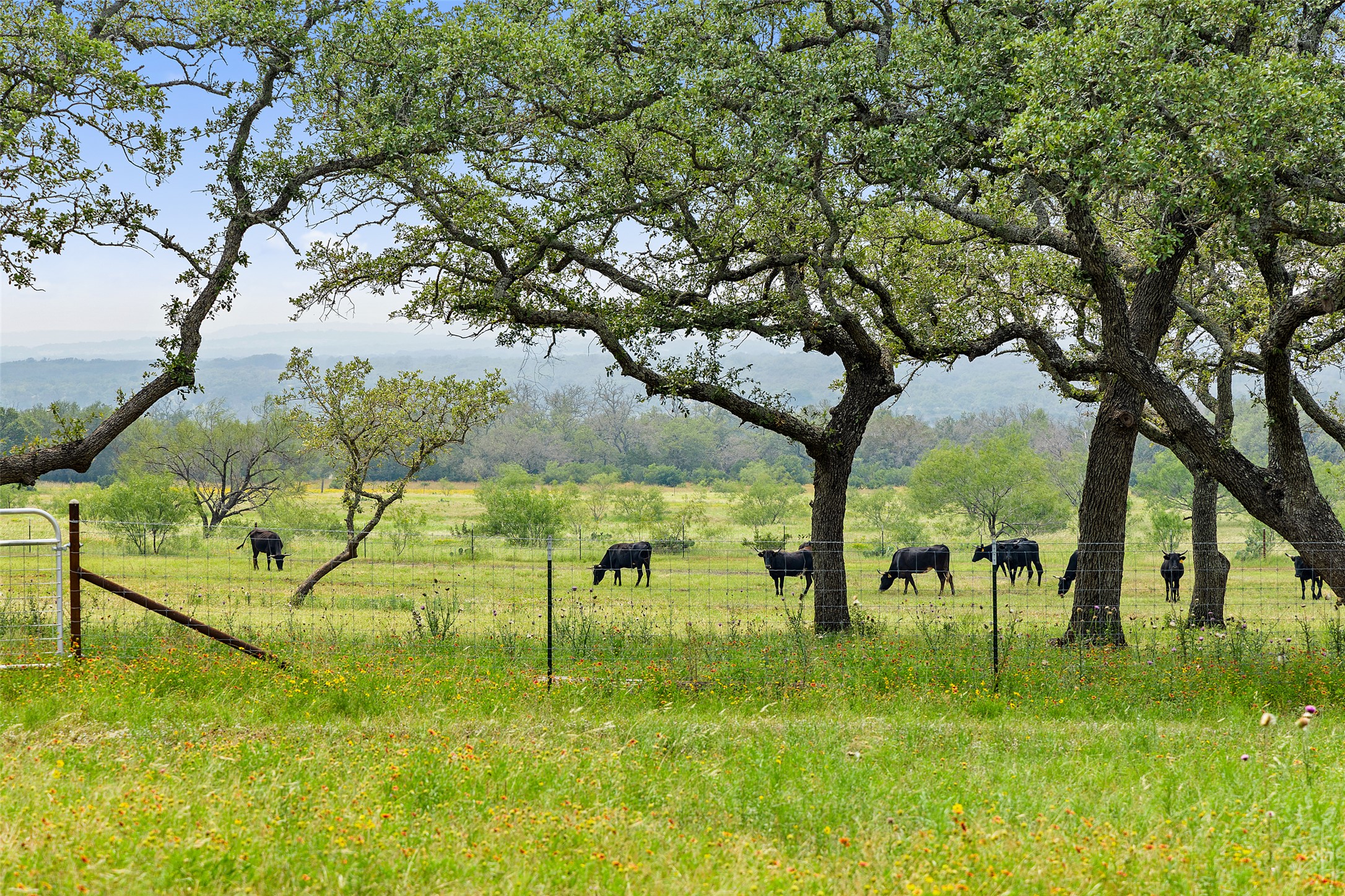 3431 Klett Ranch Road Johnson City, TX 78636 - Photo 9 of 33 View of local wilderness featuring agricultural land and rural landscape