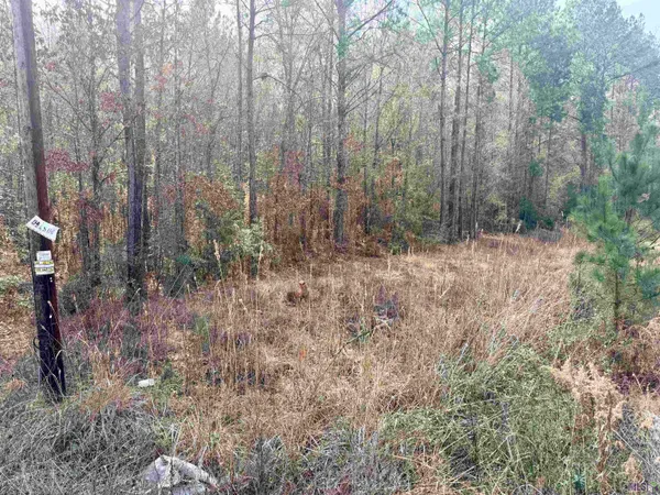 $97,500 | 1036 Hwy Holden La, Holden, LA 70744