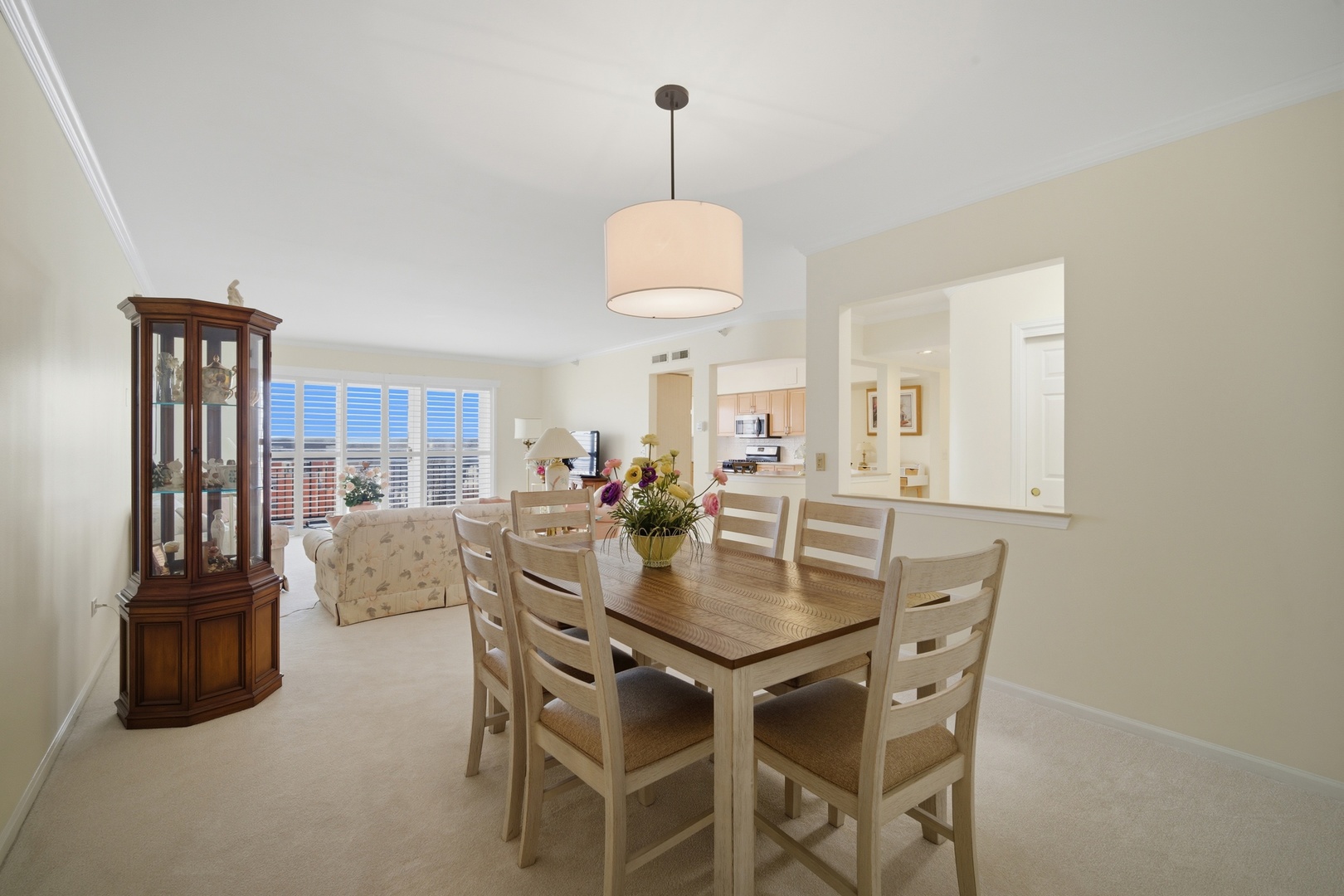 650 South River Road, Unit 801 Des Plaines, IL 60016 - Photo 11 of 34