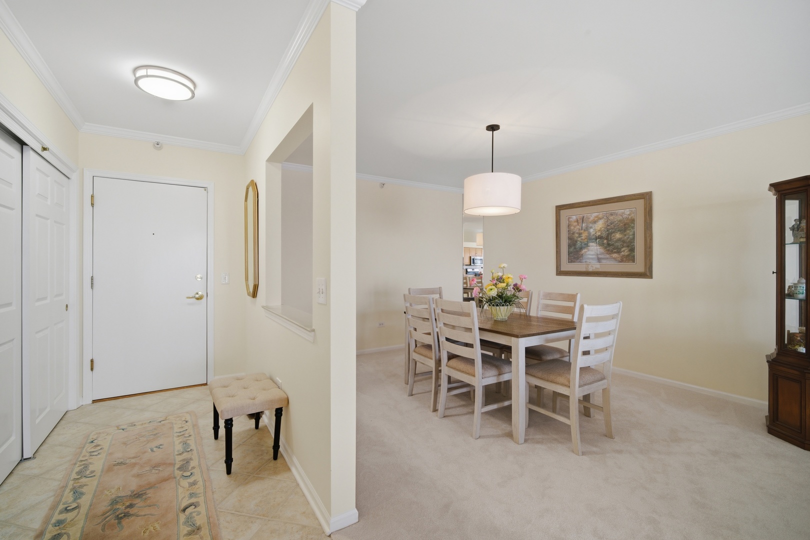 650 South River Road, Unit 801 Des Plaines, IL 60016 - Photo 8 of 34