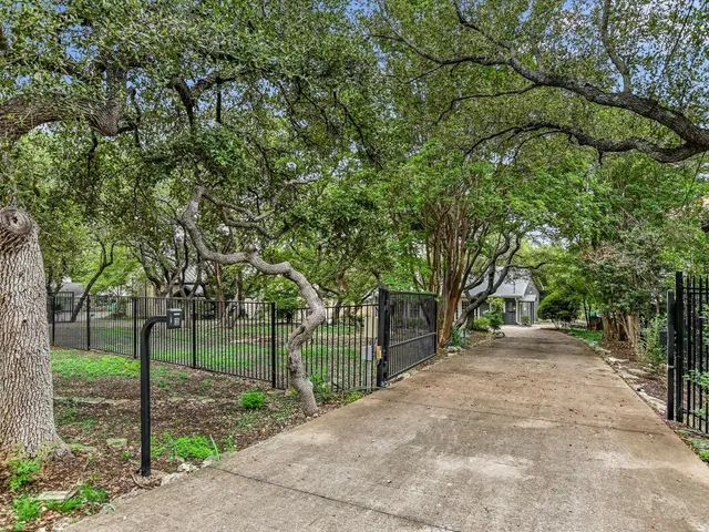 a view of a yard with plants and trees