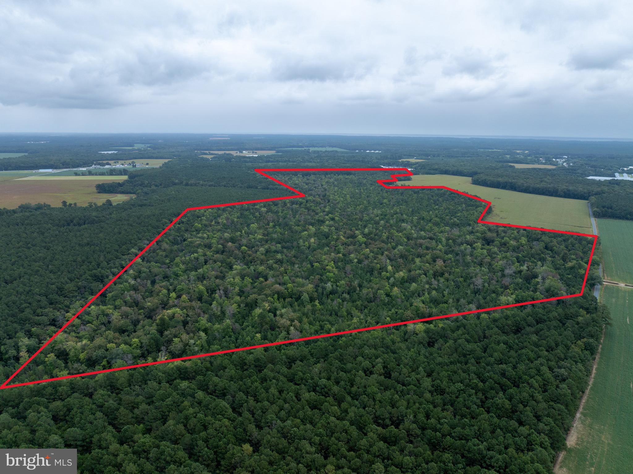 Slocom Farm Road New Church, VA 23415 - Photo 2 of 28 Boundaries Drawn Only For Reference