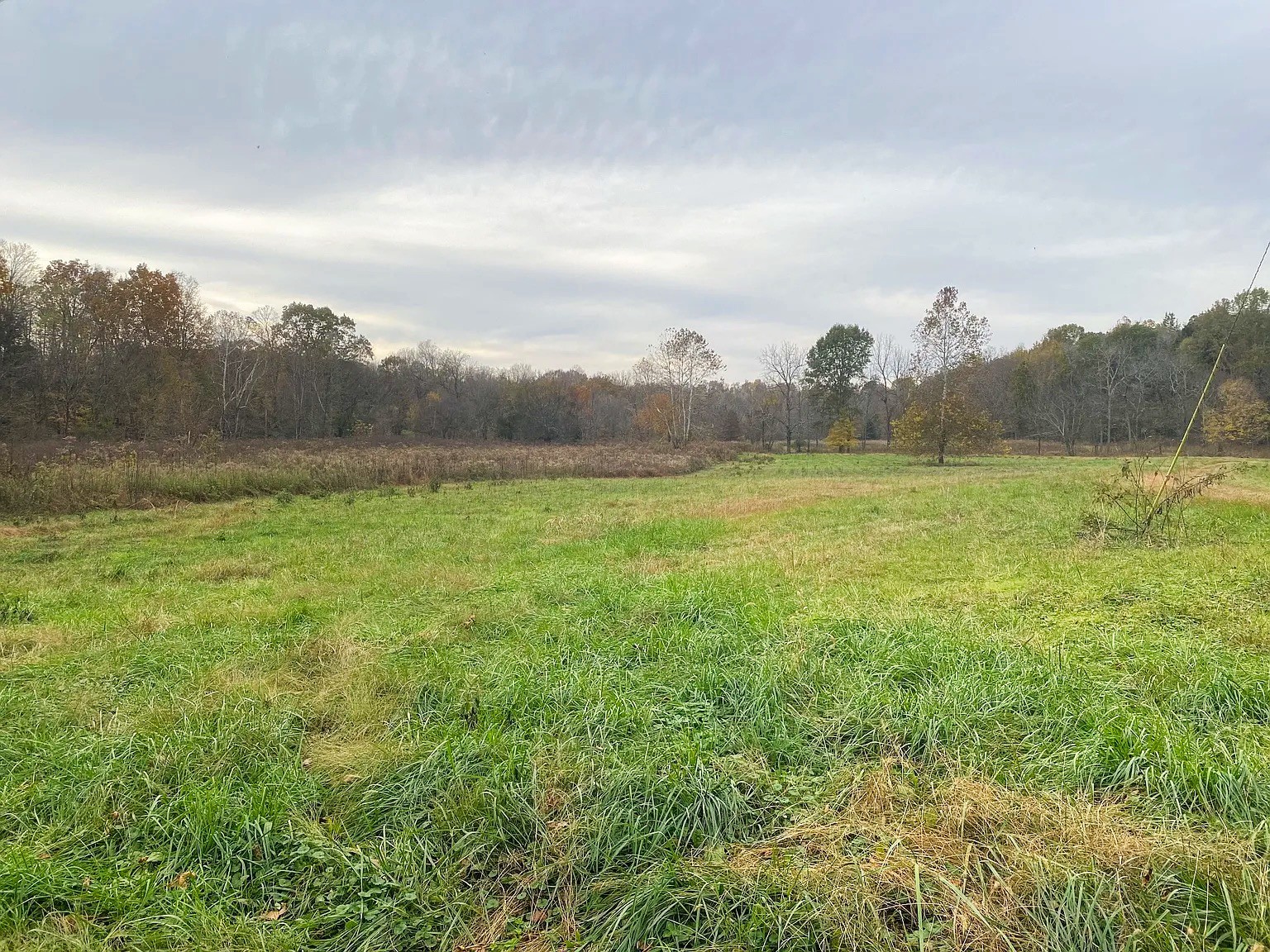 0 Empson Road White House, TN 37188 - Photo 23 of 41 Gallery Image 23