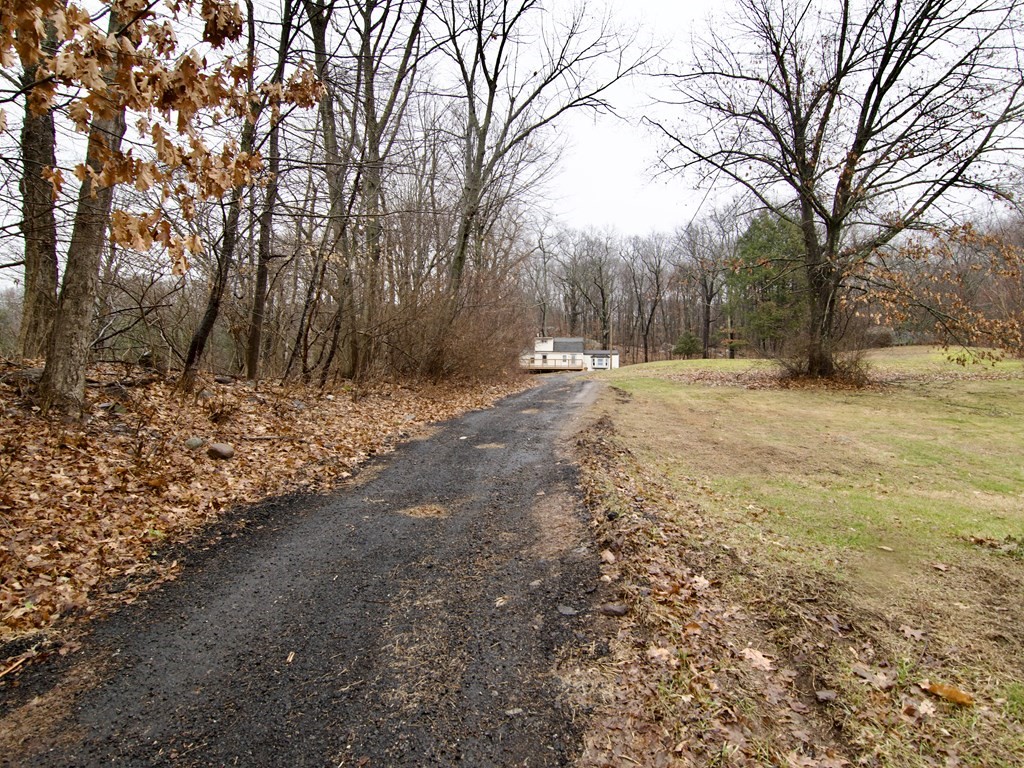 338 Wilbraham Road Hampden, MA 01036 - Photo 6 of 42 a view of dirt yard with a large tree