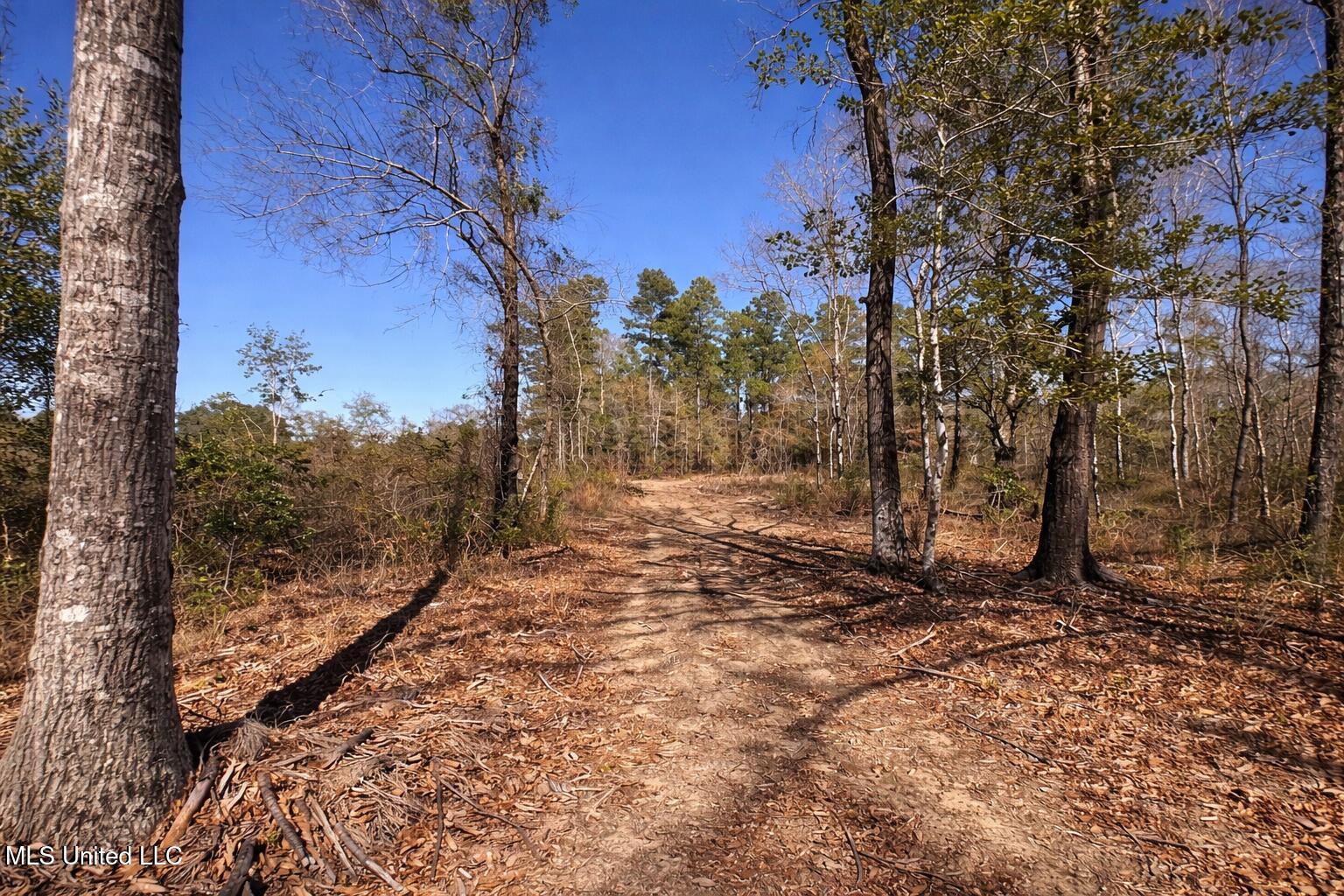 2 Standard Cemetery Road Kiln, MS 39556 - Photo 6 of 9 E2A8C5D5-28CE-4867-A0F9-0D036C25BE08
