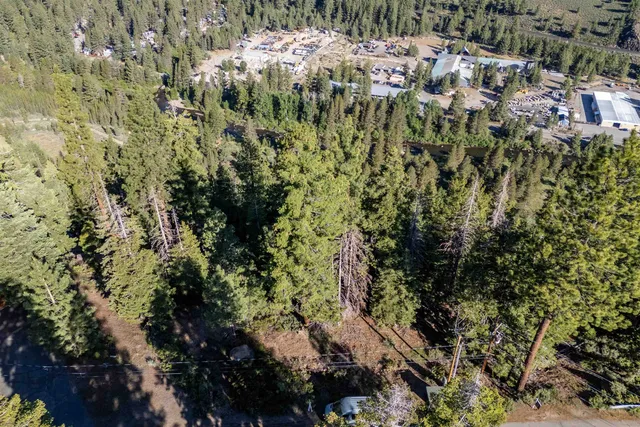 a view of a bunch of trees and bushes