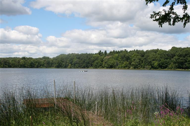 184 Cedar Lake Road Chelsea, MI 48118 - Photo 4 of 10 Photo 4