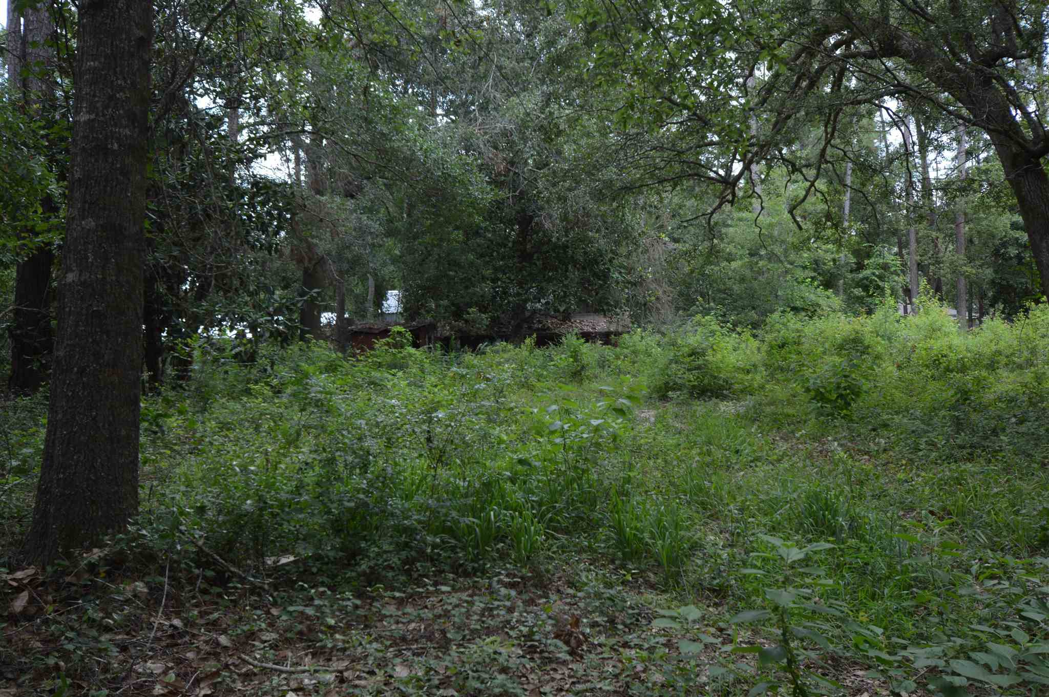 Lot 4 3rd Street Lillian, AL 36549 - Photo 8 of 11 Lot 4 w/old shed