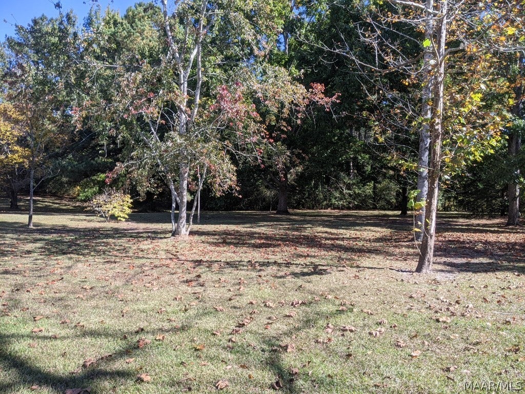47 Spring Hill Road Dothan, AL 36301 - Photo 7 of 39 Gallery Image 7