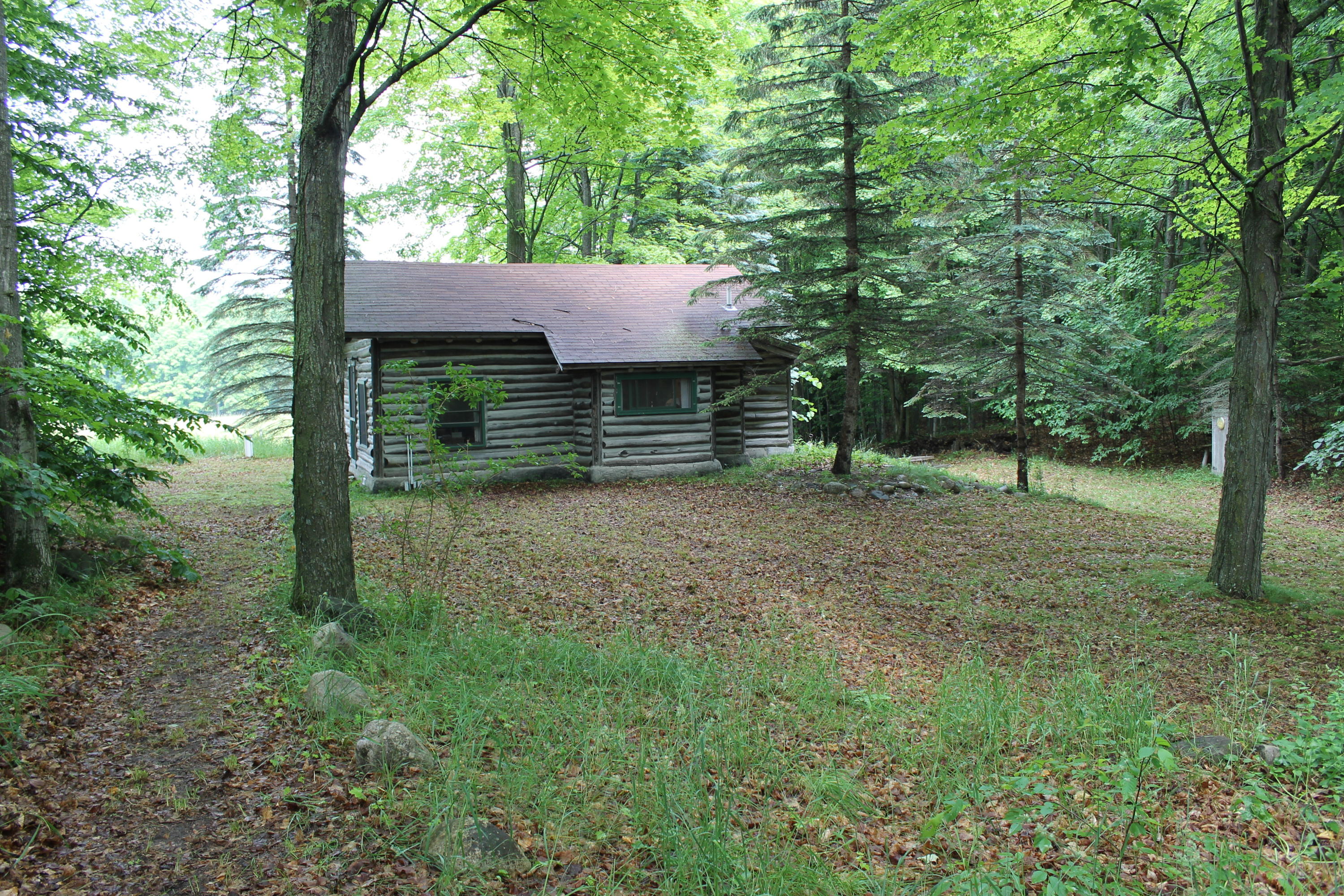 10533 Scott Road Wolverine, MI 49799 - Photo 3 of 30 Gallery Image 3