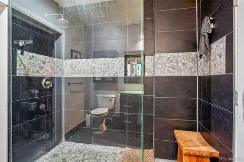 a bathroom with a toilet and a shower