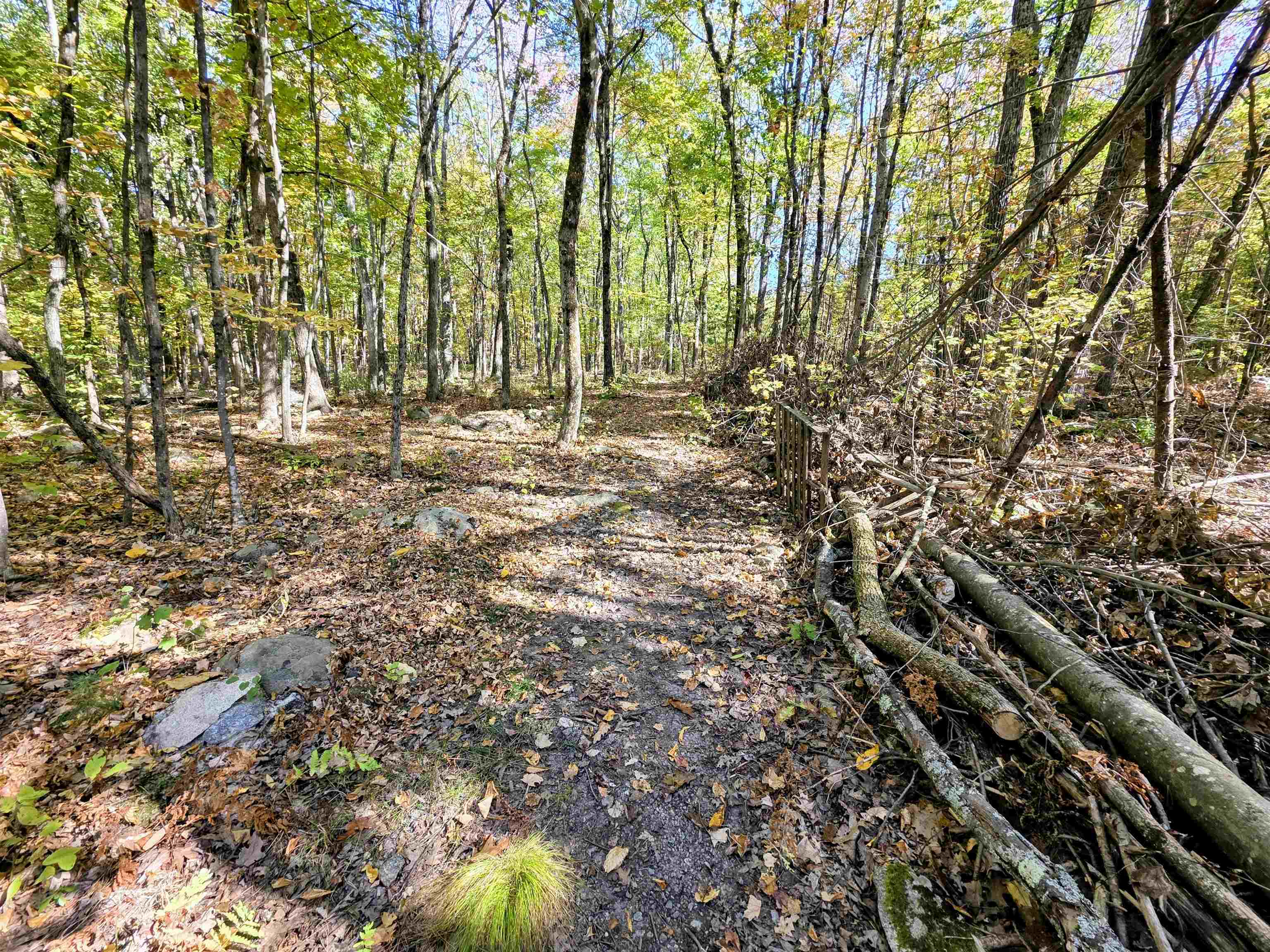 103 Mammoth Road Hooksett, NH 03106 - Photo 45 of 47