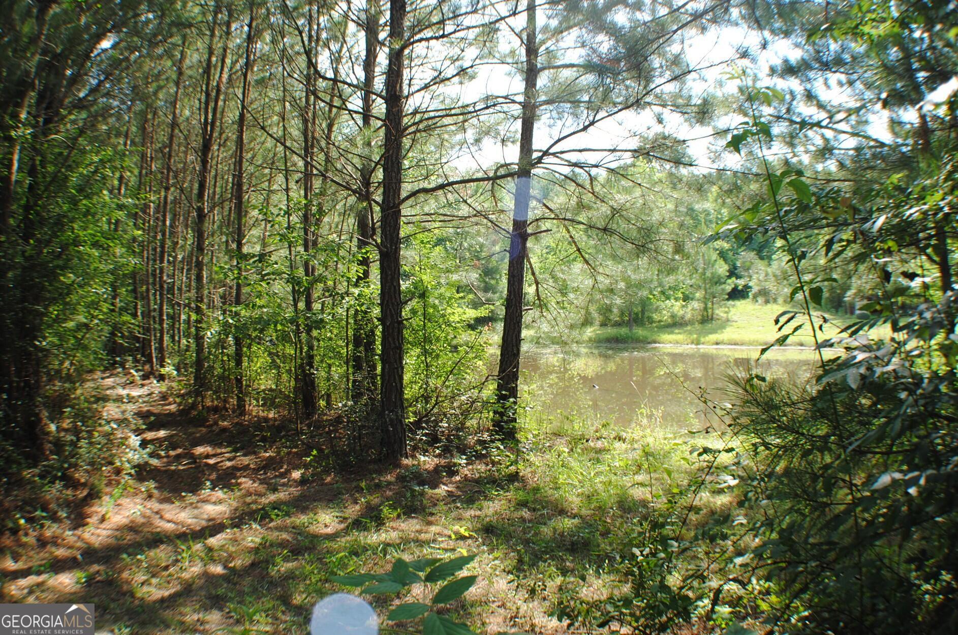 3602 Highway 41 Resaca, GA 30735 - Photo 4 of 12