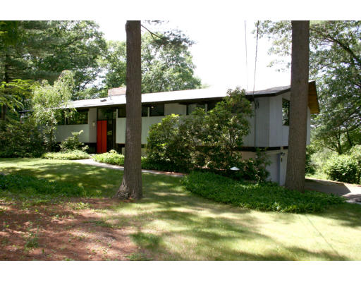 a view of a back yard with green space