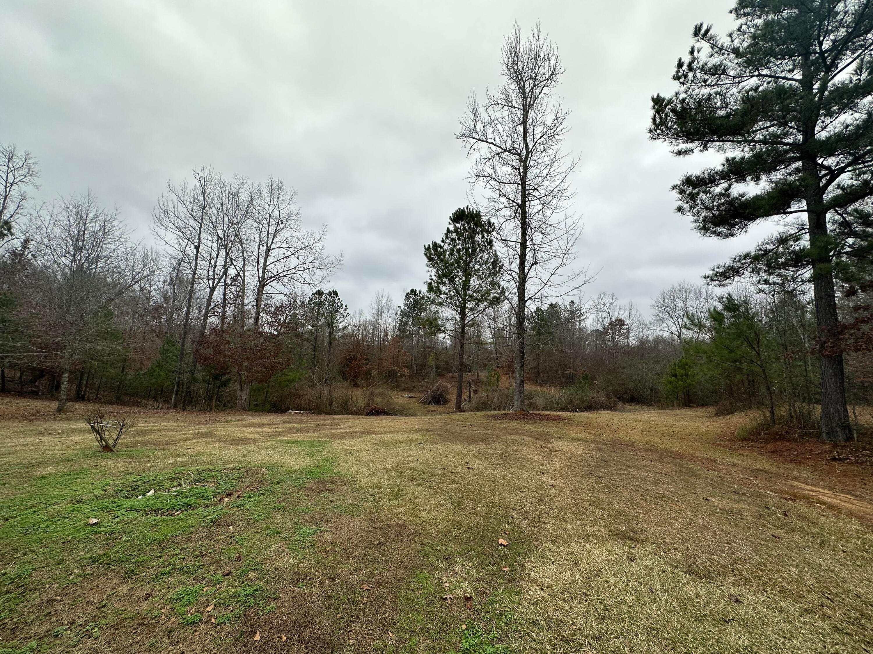 173 Barton Chapel Loop Road Cordova, AL 35550 - Photo 18 of 23 Gallery Image 18