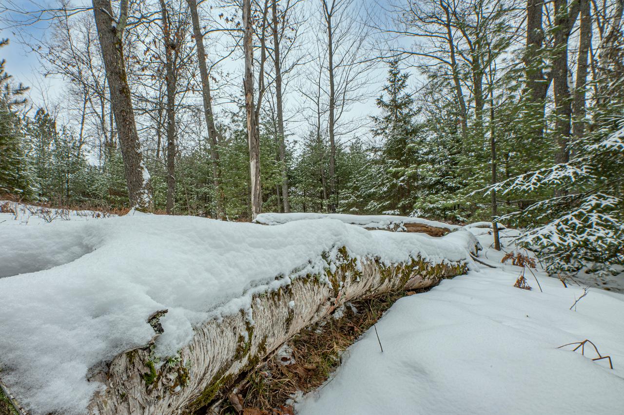 6155 River Road Eagle River, WI 54521 - Photo 9 of 9 Gallery Image 9