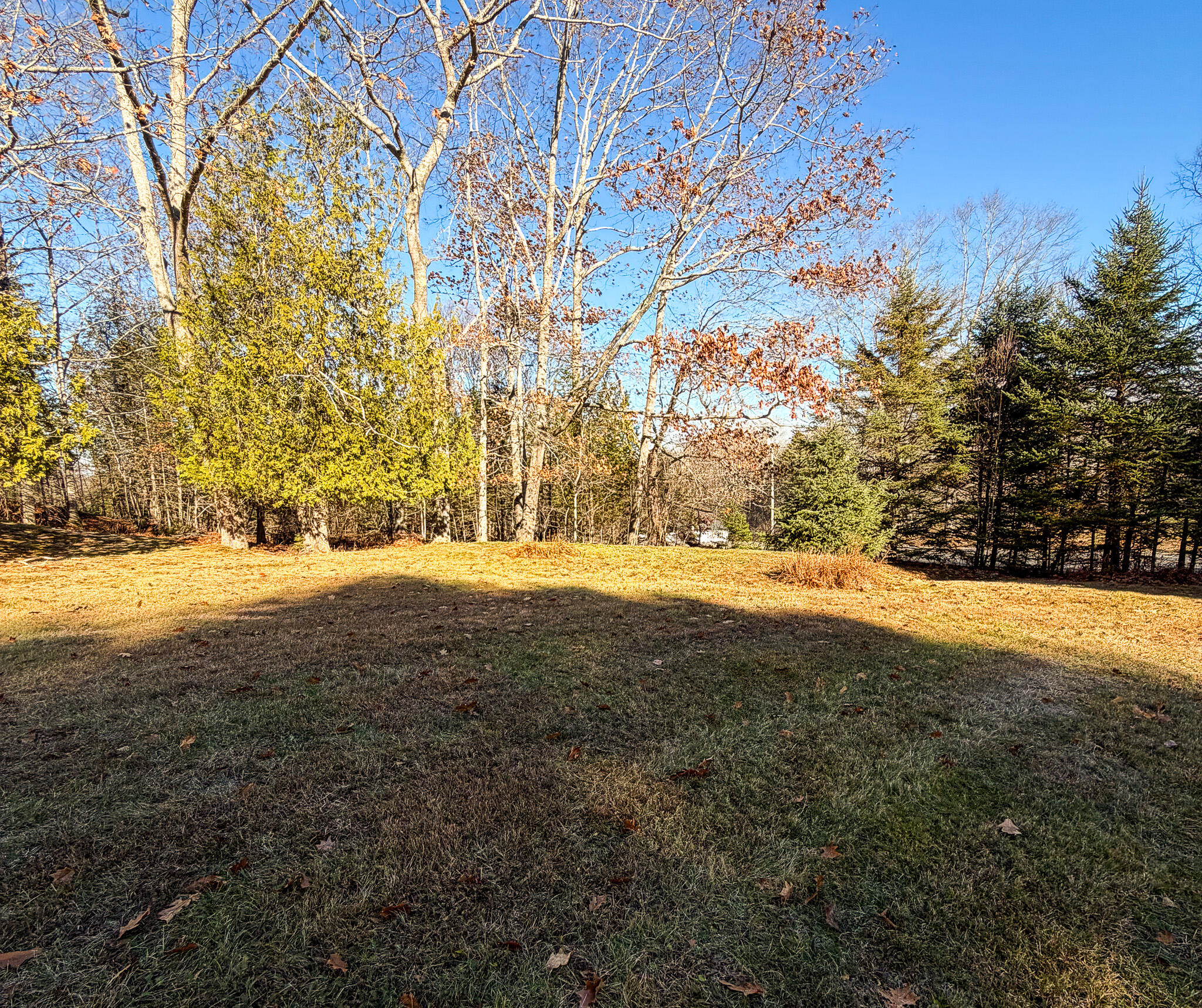 6 Nob Hill Road Hancock, ME 04640 - Photo 36 of 41 Beautiful large lawn
