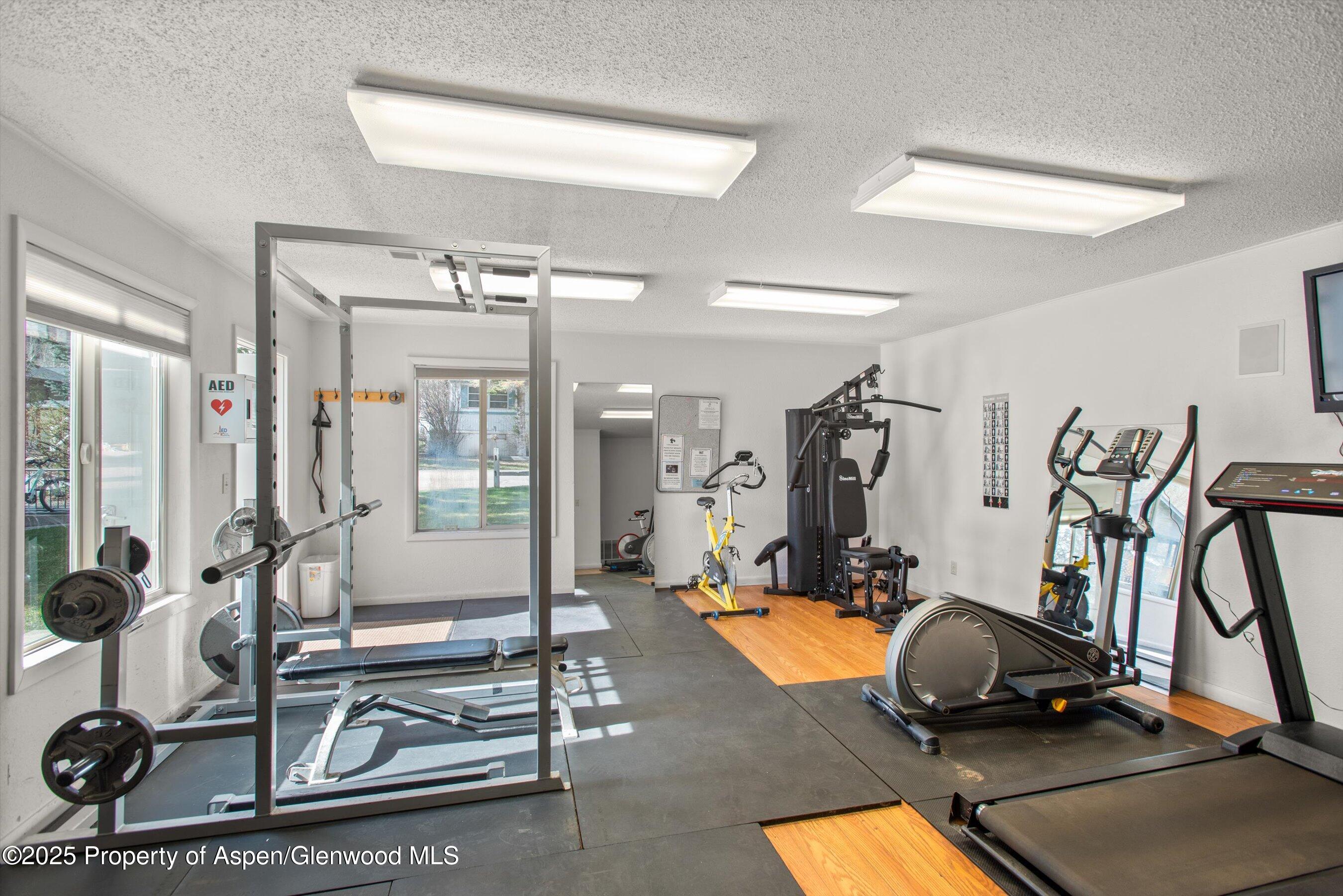 140 Ridge Trail Aspen, CO 81611 - Photo 10 of 23 Community Gym