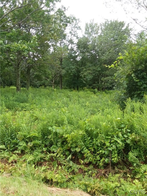 0 County Rte 15 West Sandy Creek, NY 13145 - Photo 1 of 1 Gallery Image 1